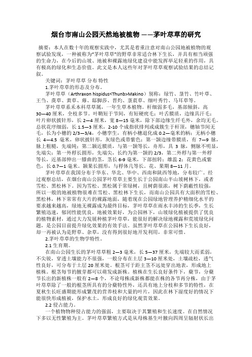 烟台市南山公园天然地被植物 ——茅叶荩草的研究