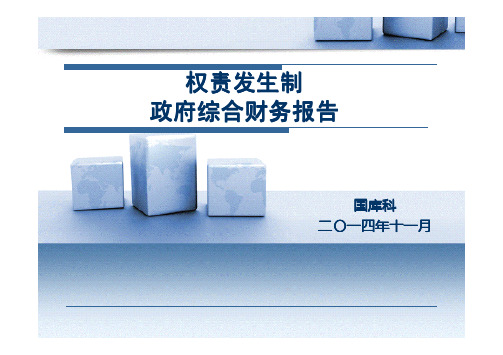 权责发生制政府财务综合报告