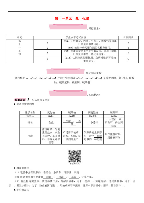 中考化学总复习 第一编 第11单元 盐 化肥(精讲)练习