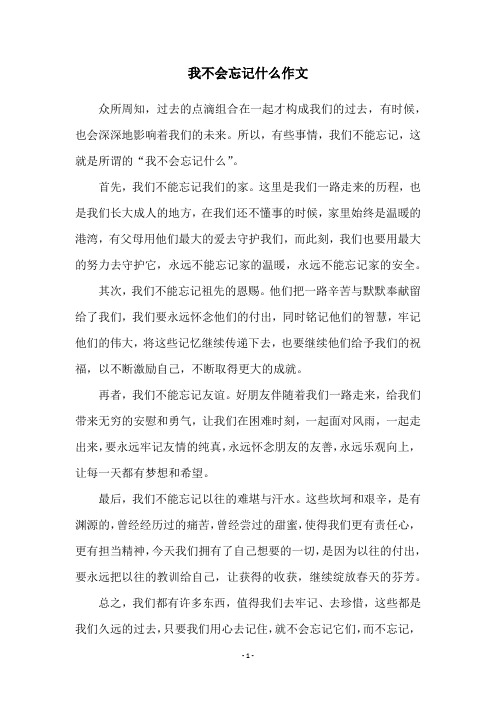 我不会忘记什么作文