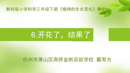 教育科学出版社小学科学三年级下册 开花了,结果了 名师教学PPT课件