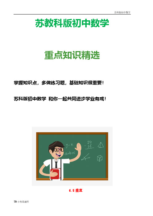 苏教科版初中数学七年级上册 6.5 垂直教案 