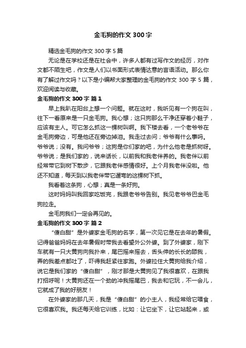 金毛狗的作文300字