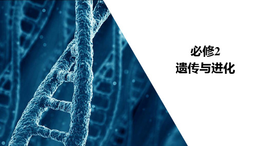 2021届高考生物人教版一轮创新:第7单元 第23讲 现代生物进化理论