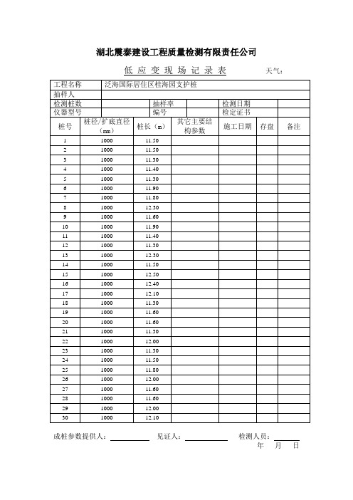 低应变现场记录表格