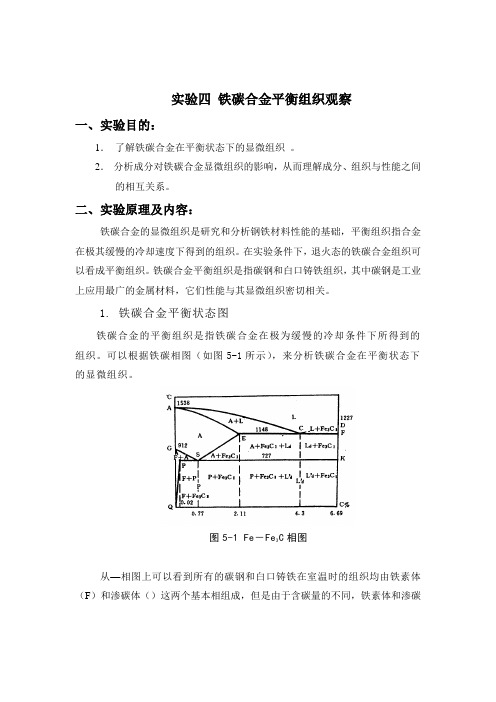 铁碳合金平衡组织观察精讲实验报告