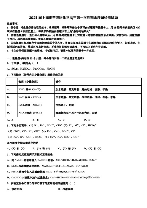 2025届上海市黄浦区化学高三第一学期期末质量检测试题含解析