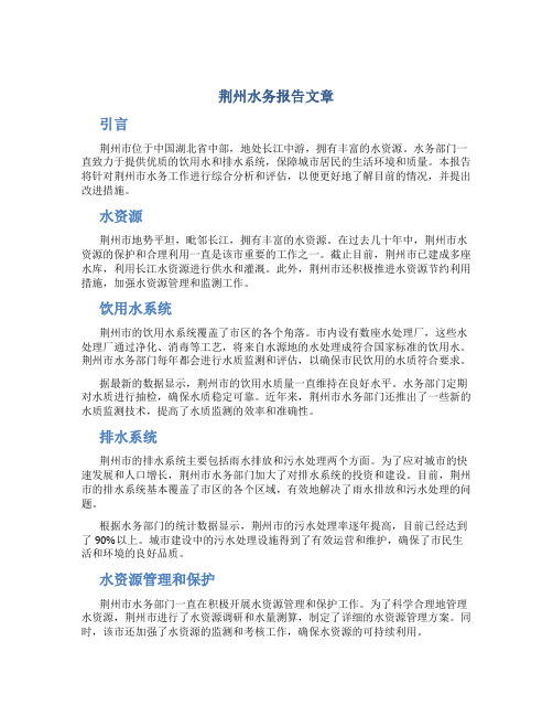 荆州水务报告文章