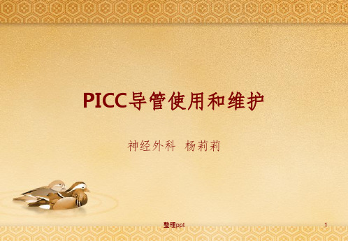 ICC导管使用和维护