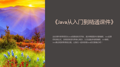 《Java从入门到精通课件》