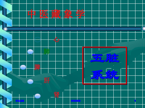 中基-藏象-肺精品PPT课件