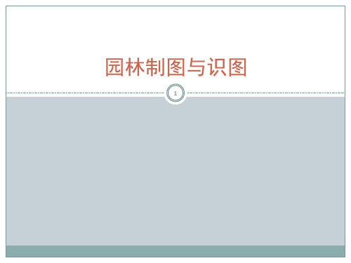 植物的表现方法(校园课件)
