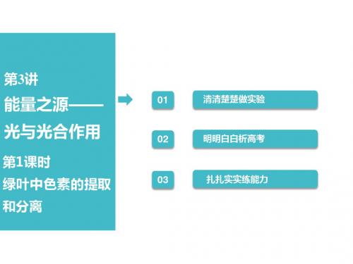 (人教)高考全国卷生物一轮复习课件：必修1第三单元第3讲第1课时绿叶中色素的提取和分离