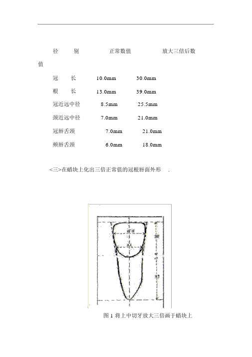 上颌切牙雕刻附图