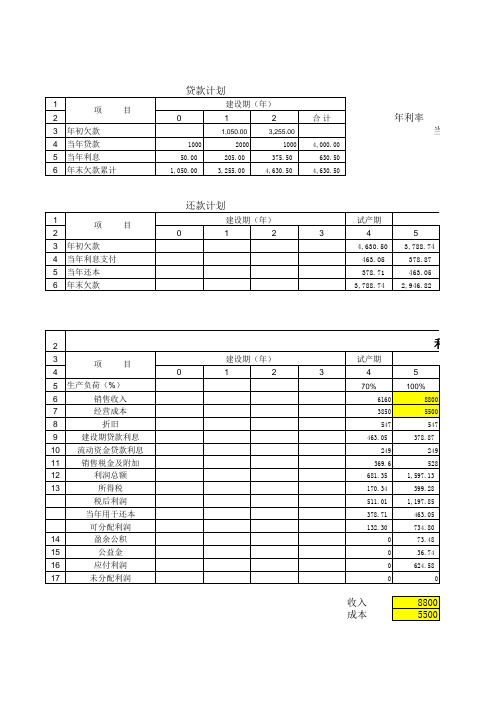 建设项目内部收益率测算表