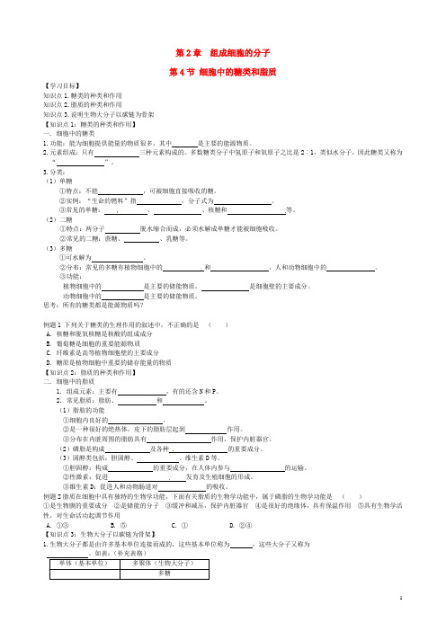 山东省聊城市第四中学高中生物《2.4 细胞中的糖类和脂质》学案 新人教版必修1