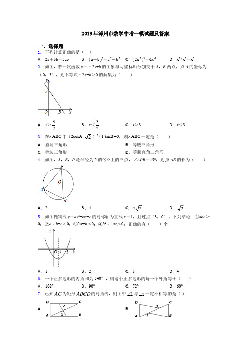 2019年漳州市数学中考一模试题及答案