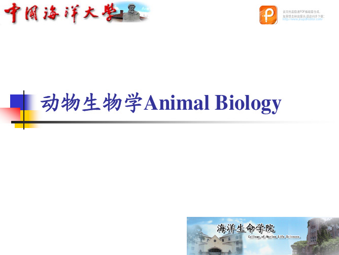 动物生物学：第二章 发育与分化