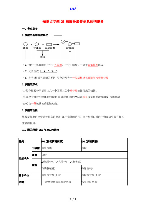 高考生物一轮复习 知识点(上)专题05 核酸是遗传信息的携带者(含解析)-人教版高三全册生物试题