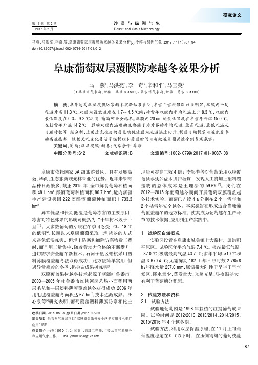 阜康葡萄双层覆膜防寒越冬效果分析