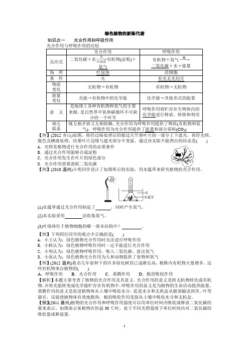 绿色植物的新陈代谢讲义