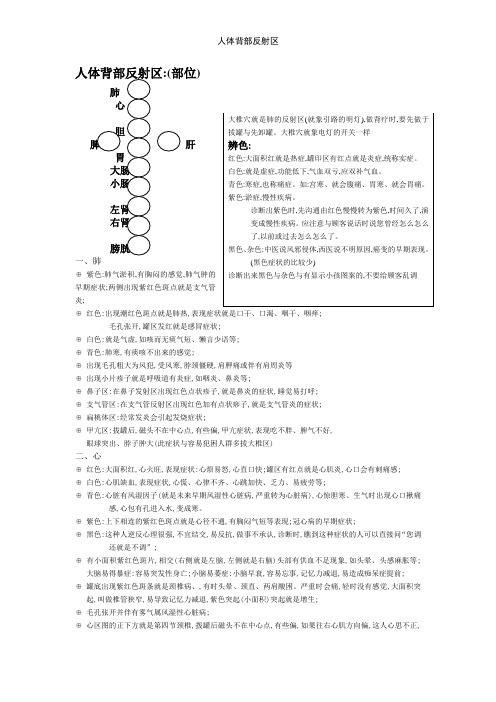 人体背部反射区