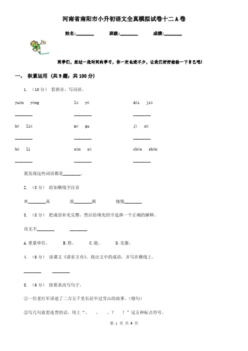 河南省南阳市小升初语文全真模拟试卷十二A卷