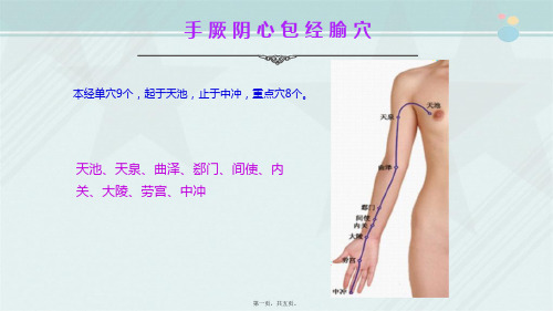 老年健康服务《手厥阴心包经腧穴》