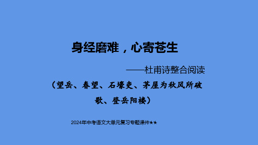 杜甫诗整合阅读中考语文大单元复习专题课件