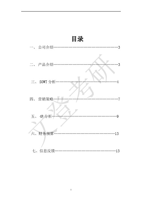 文登考研营销策划书