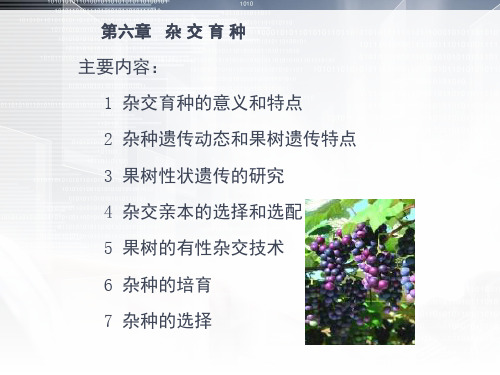 果树育种学(2).ppt