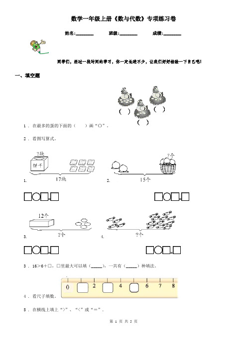 数学一年级上册《数与代数》专项练习卷