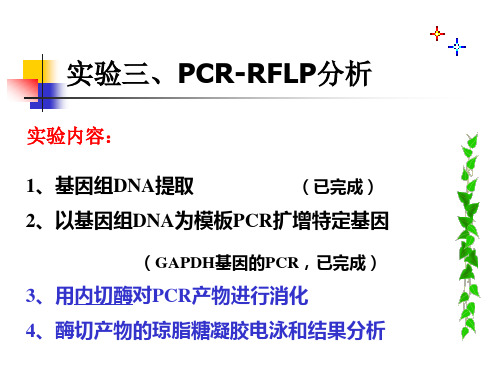 3 PCR-PFLP