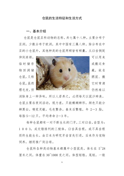 仓鼠的生活特征和生活方式