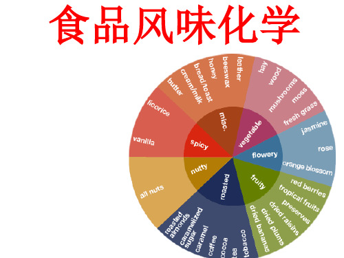 食品风味化学绪论PPT课件
