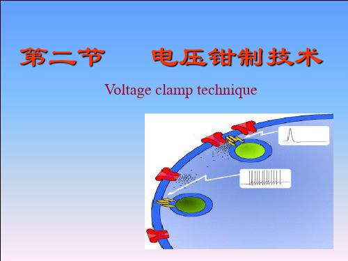 电压钳制和膜片钳制技术讲解