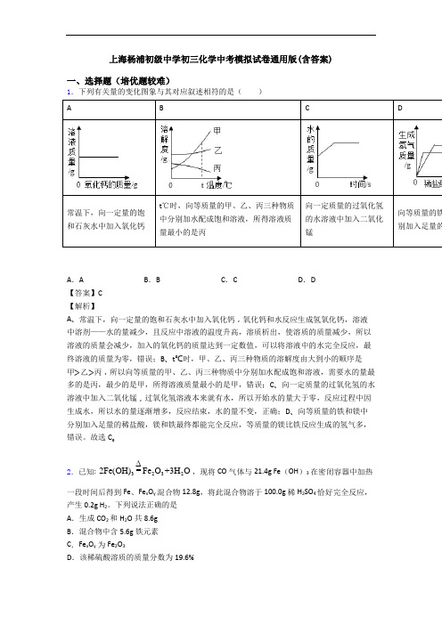 上海杨浦初级中学初三化学中考模拟试卷通用版(含答案)