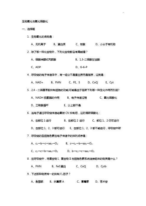 生物化学试题生物氧化和糖代谢