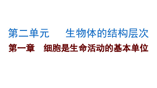 人教版七年级上册第二单元 生物体的结构层次 第一章 细胞是生命活动的基本单位复习课件