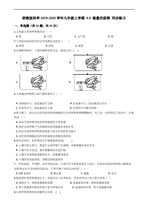 浙教版科学学2019-2020学年九年级上学期 4.4 能量的获得 同步练习 (含答案)