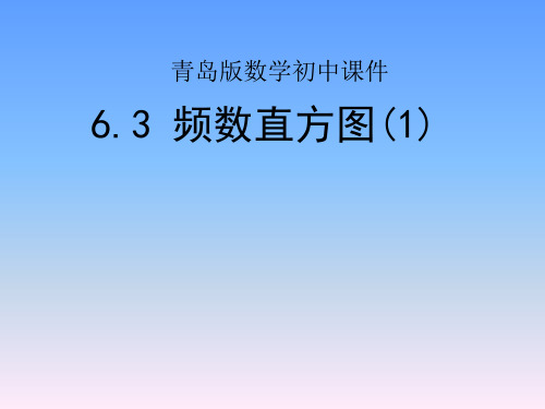 青岛版数学九年级下册课件-6.3 频数直方图