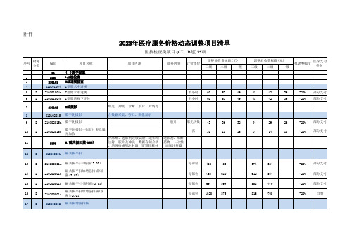 2023年新疆医疗服务价格动态调整项目清单 