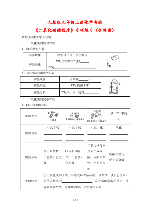 人教版九年级上册化学实验《二氧化碳的性质》专项练习(含答案)