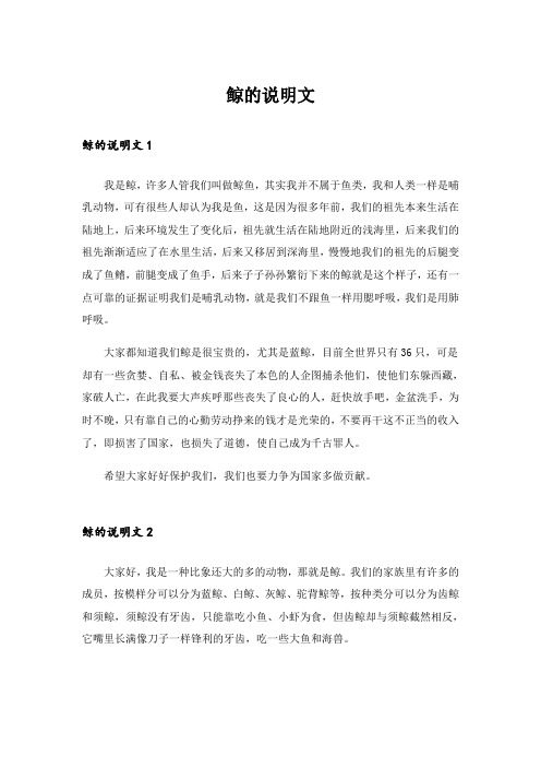 鲸的说明文