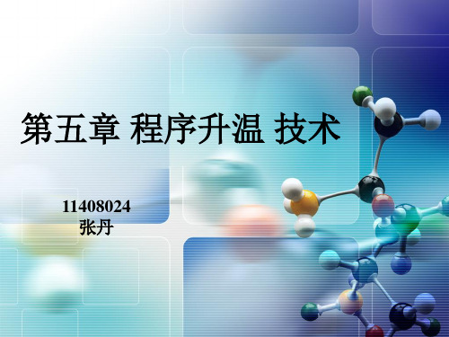 程序升温技术原理及实例分析讲解