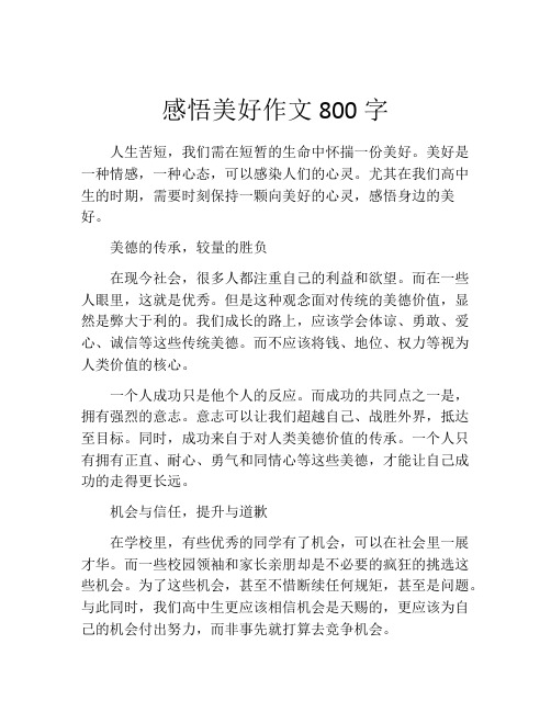 感悟美好作文800字