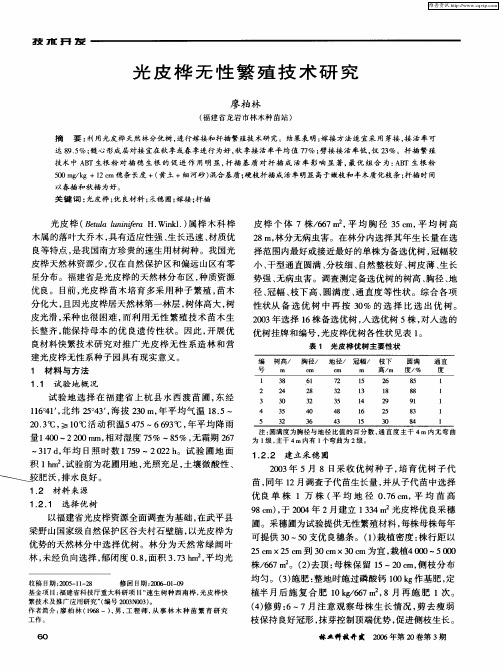 光皮桦无性繁殖技术研究