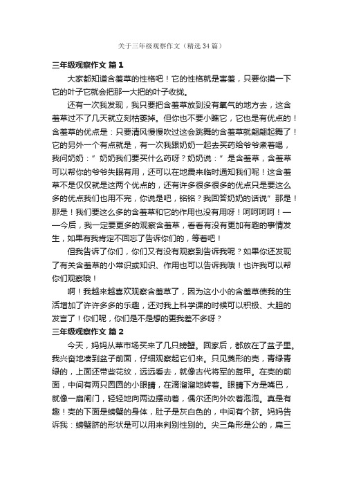 关于三年级观察作文（精选34篇）