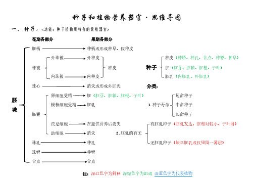 药用植物学思维导图