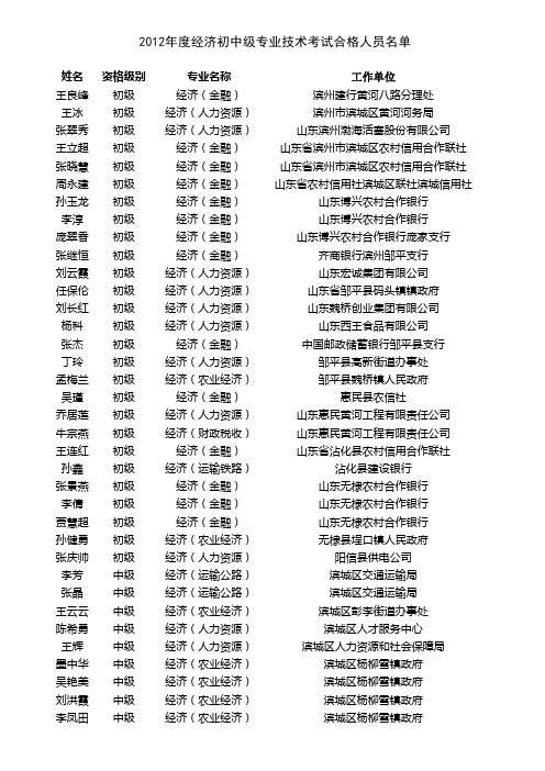 12012年度经济初中级专业技术资格考试合格人员名单xls